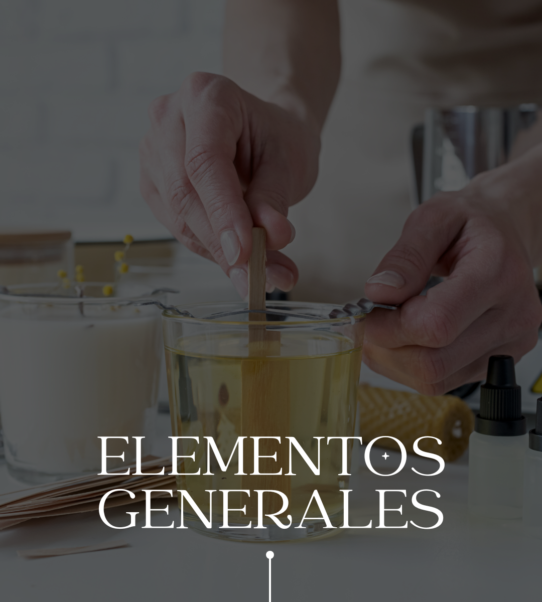 Elementos Generales