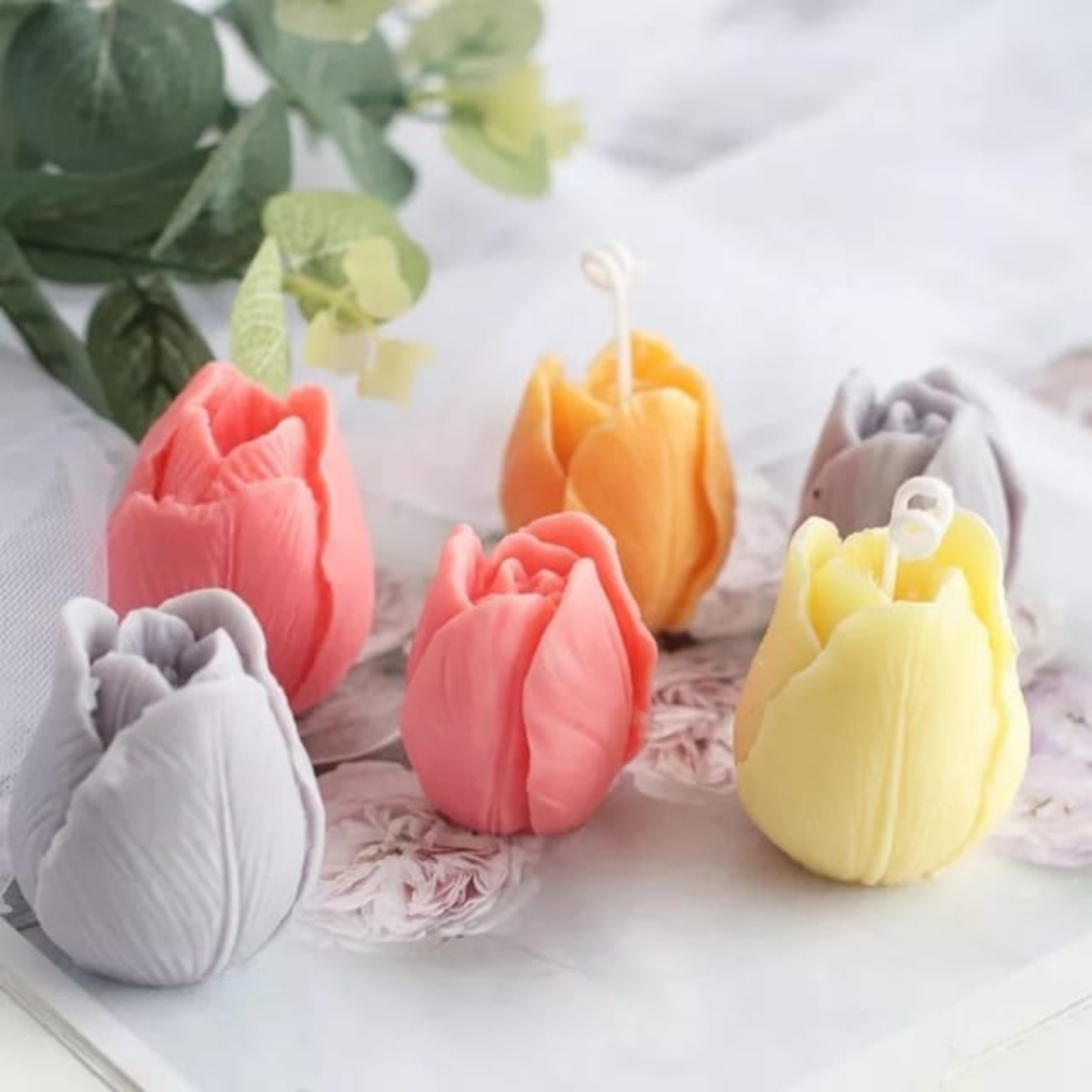 Tulipán 1 cav