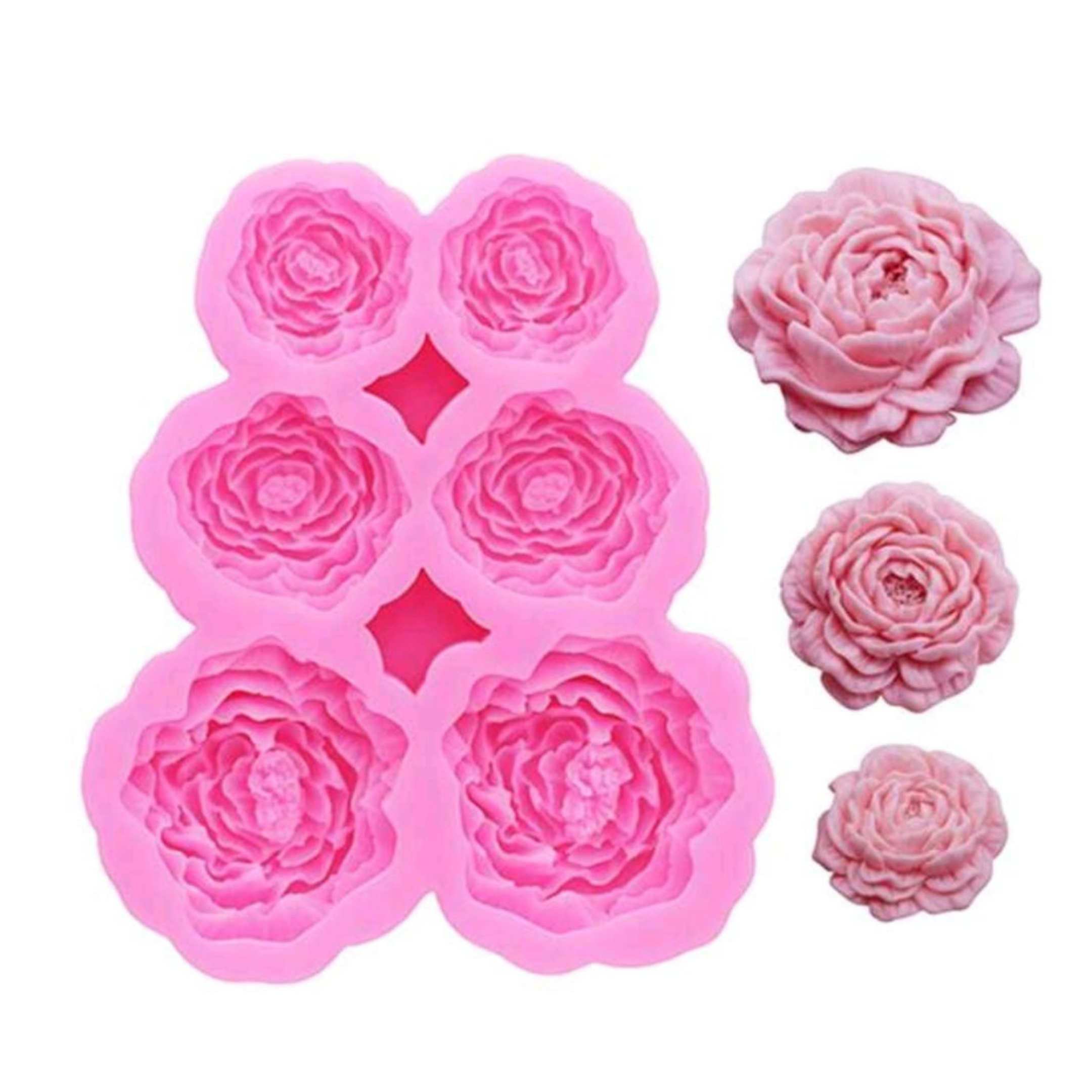 Flores 6 cav