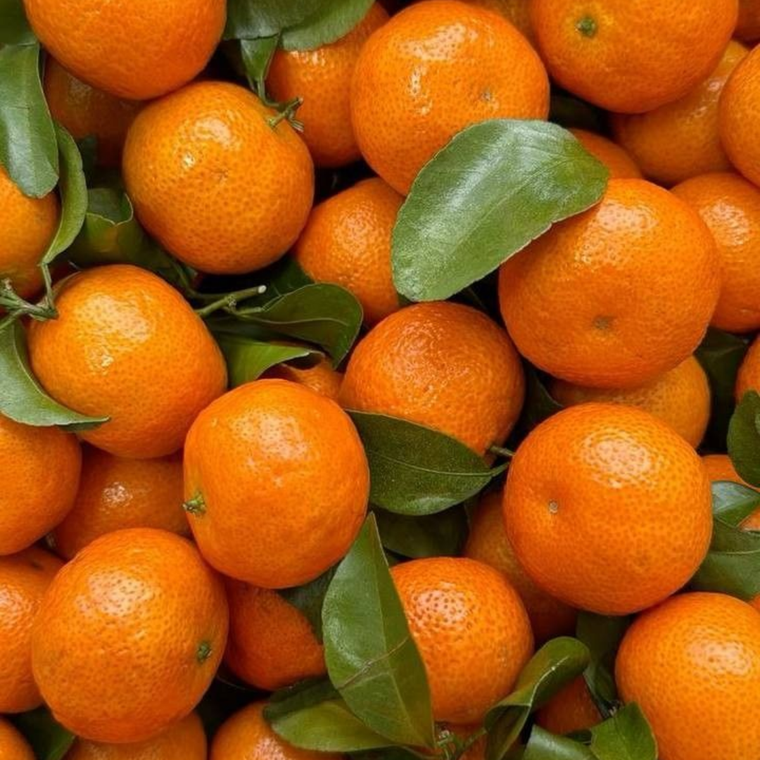 Mandarina