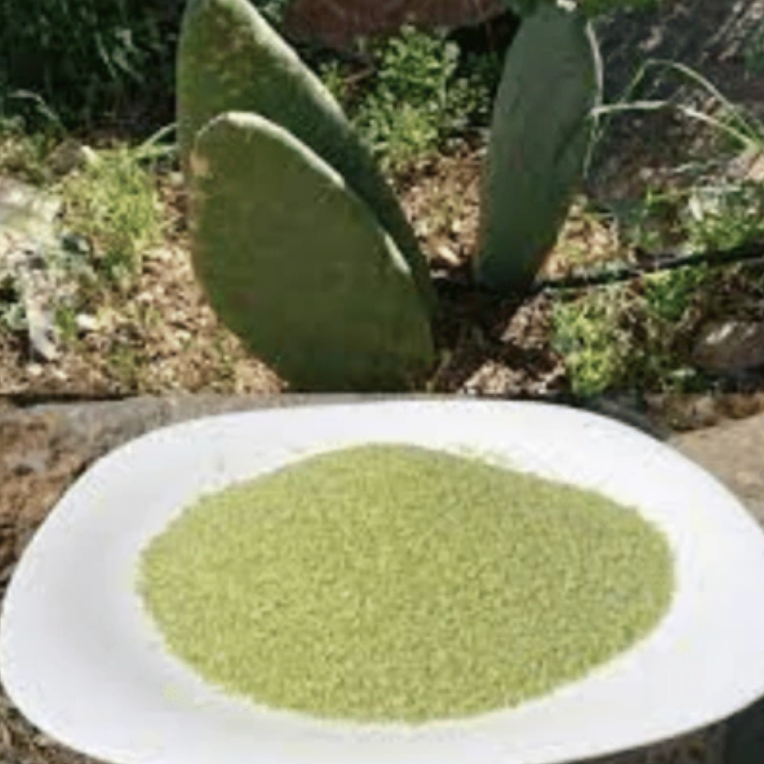 Nopal (100 gr)