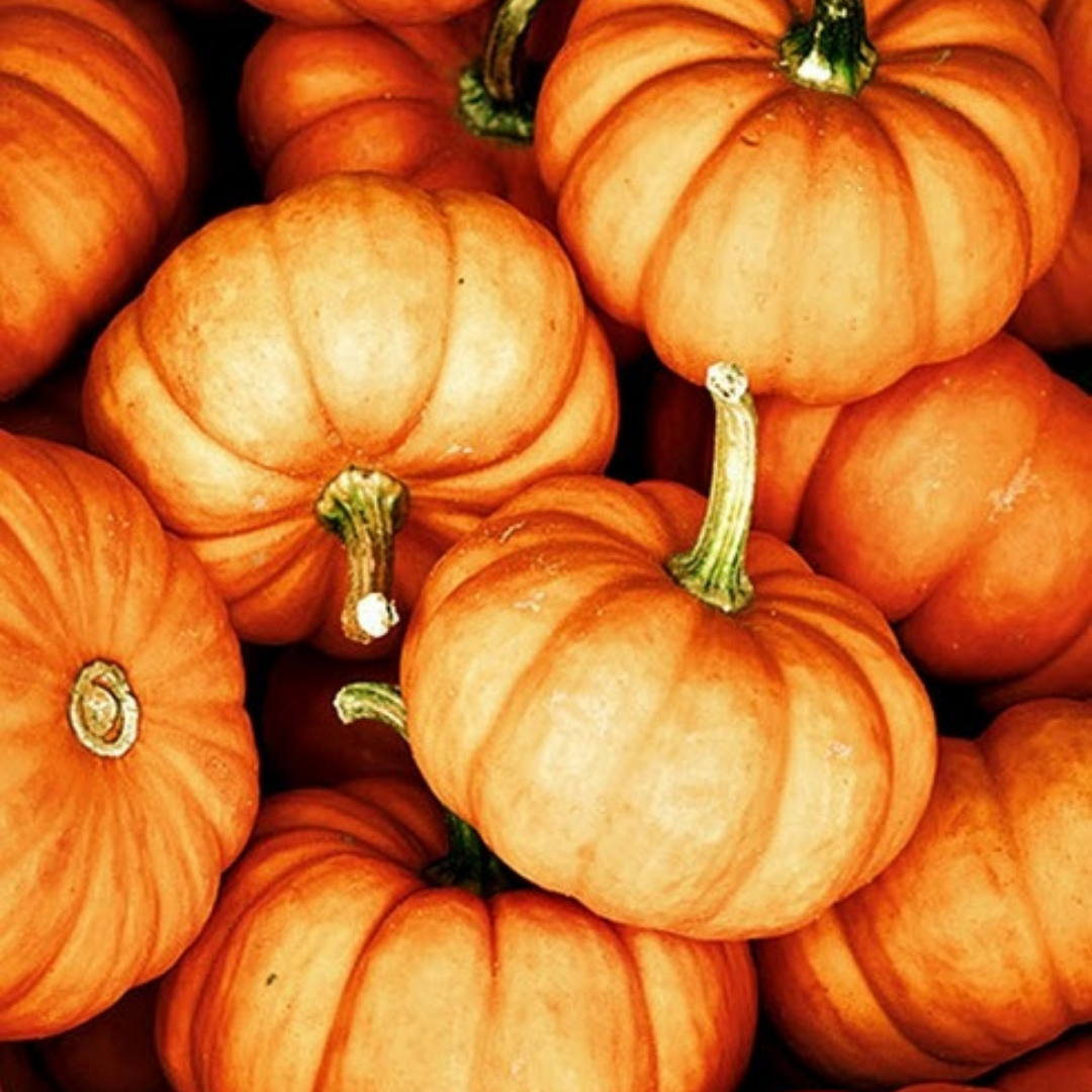 Pumpkin spice (20ml)