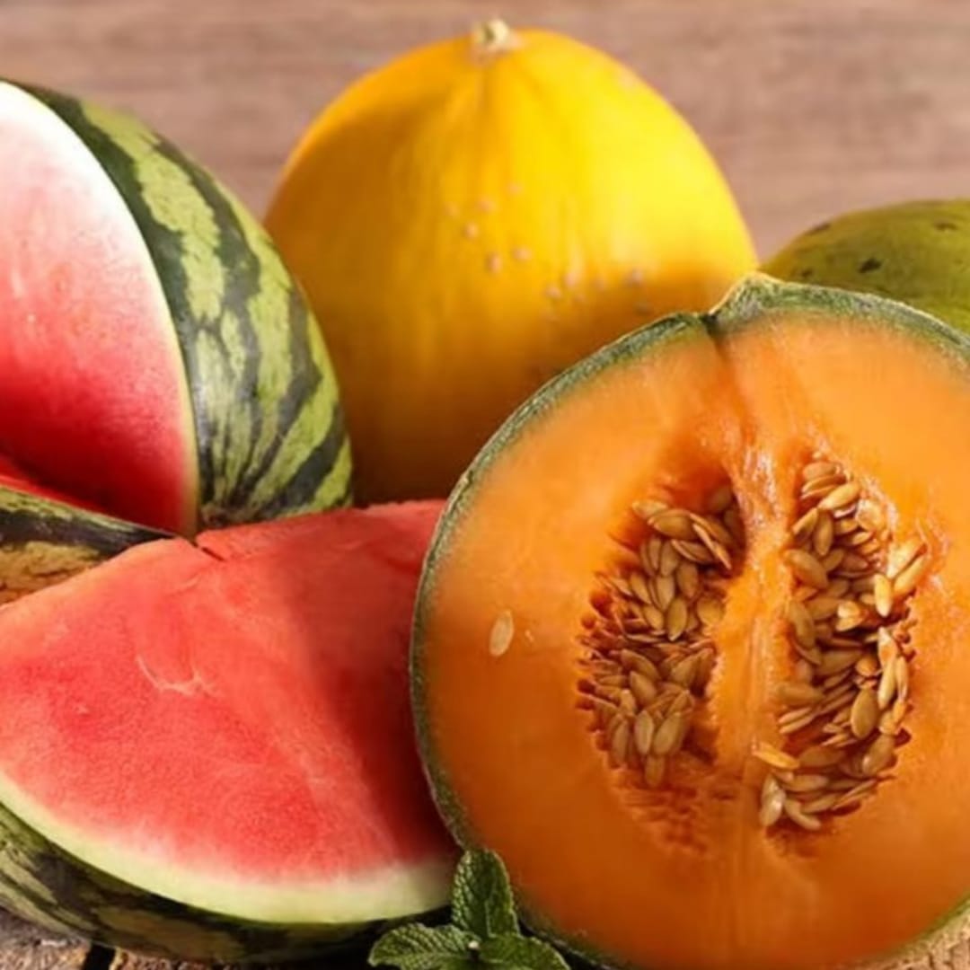 Melon-Sandia